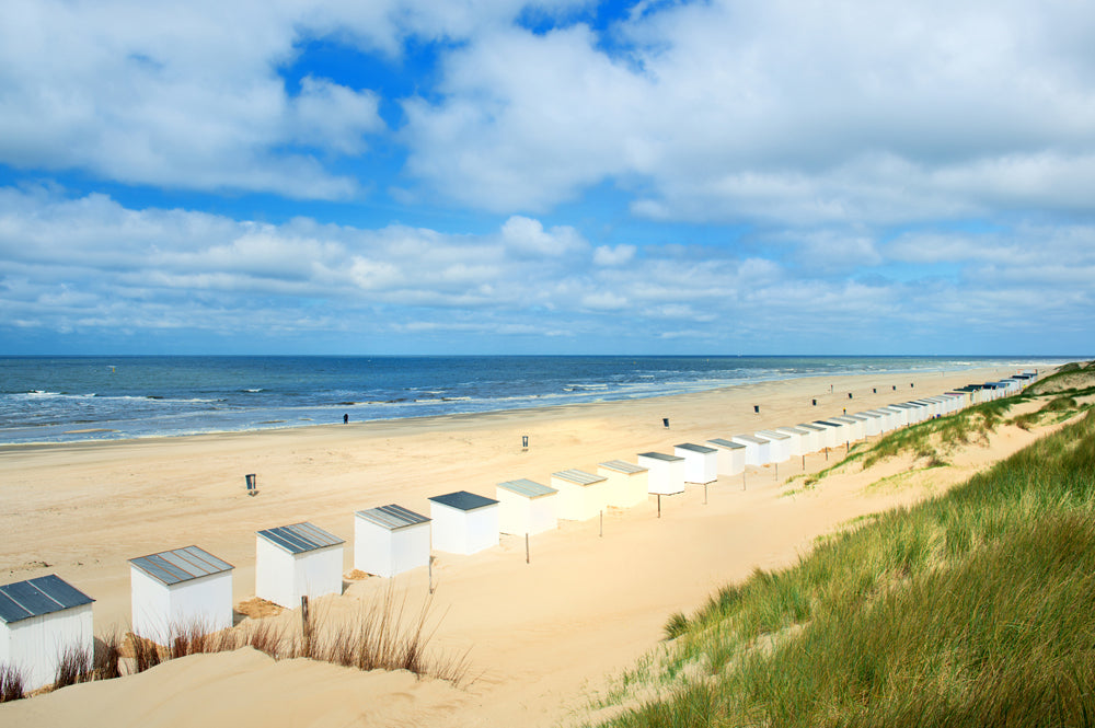 Acoustic image Pro beach houses from above