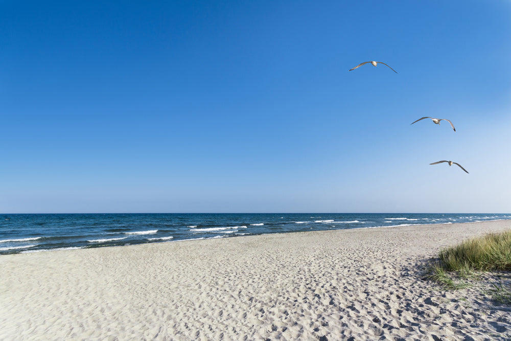 Akustikbild Pro Einsamer Strand
