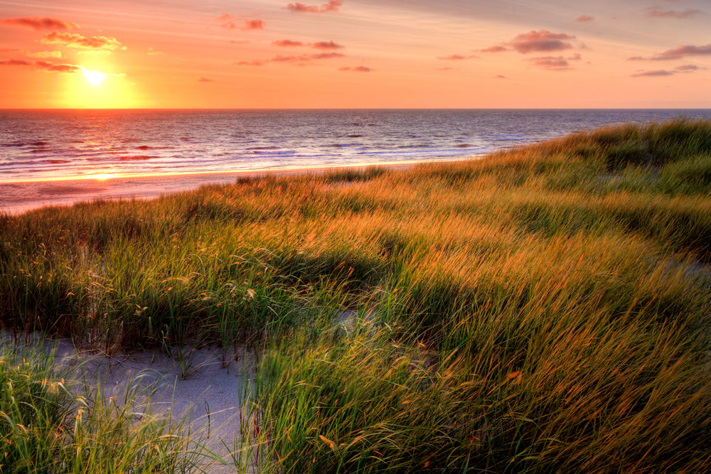 Akustikbild Pro Sonnenuntergang am Meer 2