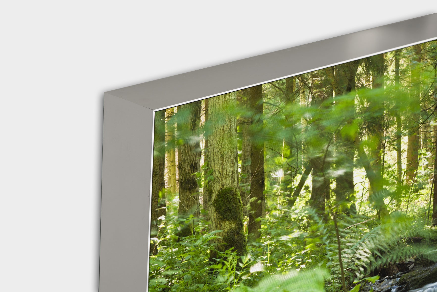 Acoustic image Pro River in the Forest 1