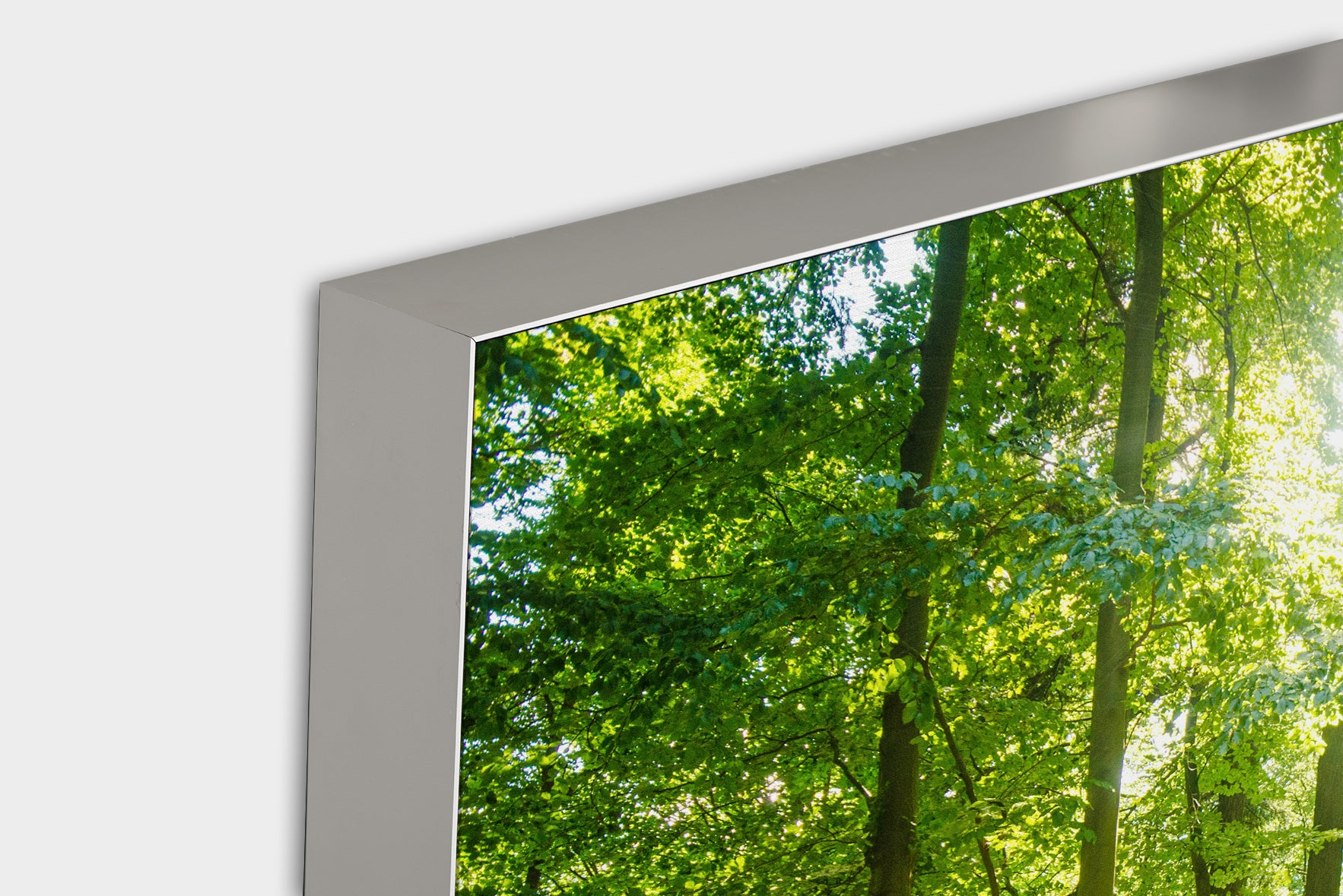 Akustikbild Pro Waldweg