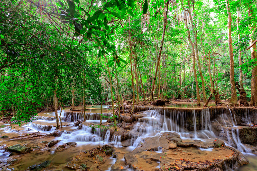 Acoustic Image Pro Small Waterfall in the Forest 1