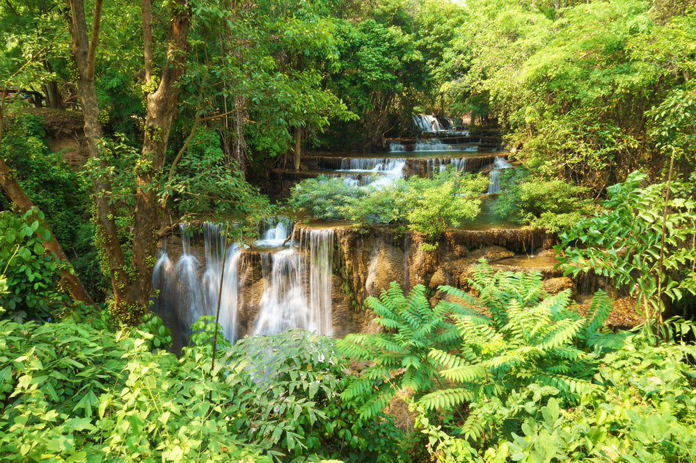 Acoustic Image Pro Small Waterfall in the Forest 2