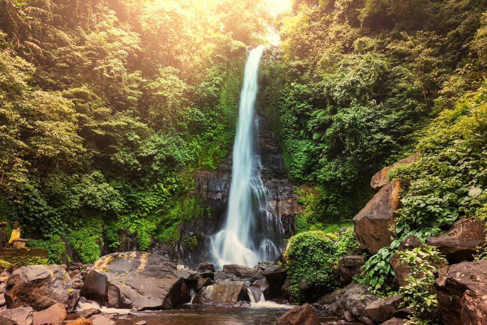 Acoustic Image Pro Waterfall