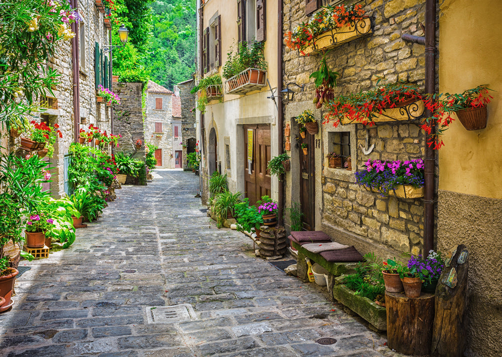 Acoustic Image Pro Tuscan Street 4