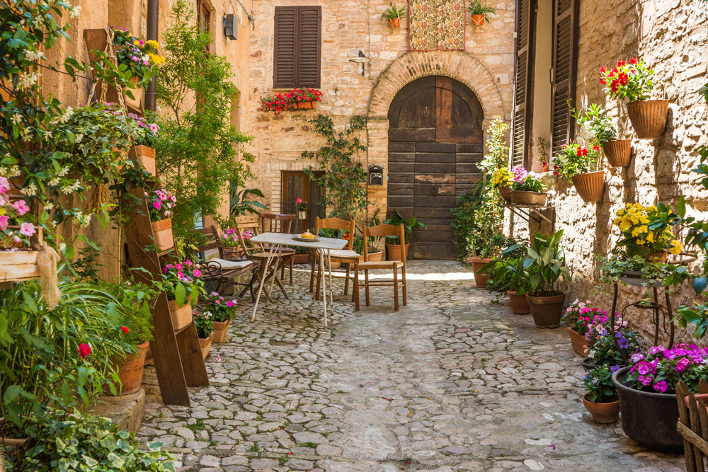 Acoustic Image Pro Tuscan Street 5