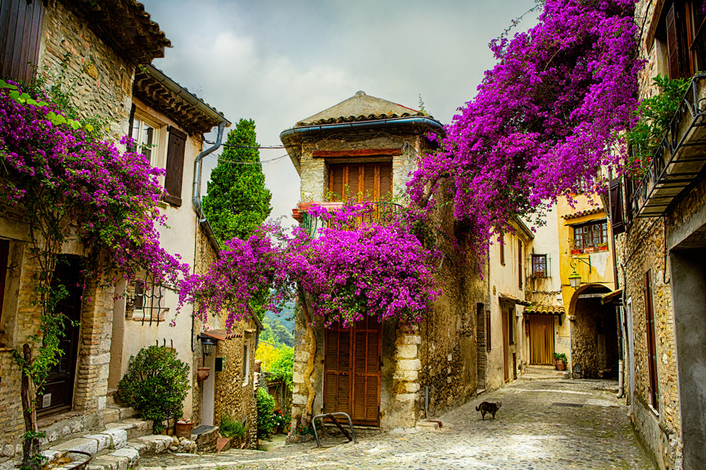 Acoustic Image Pro Tuscan Street 7