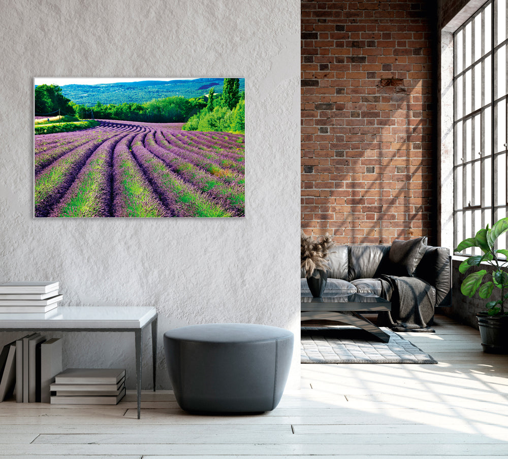 Acoustic image Pro Lavender Field 1