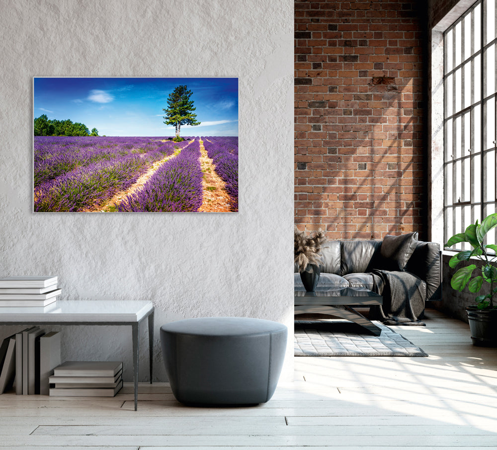 Acoustic Image Pro Lavender Field 2