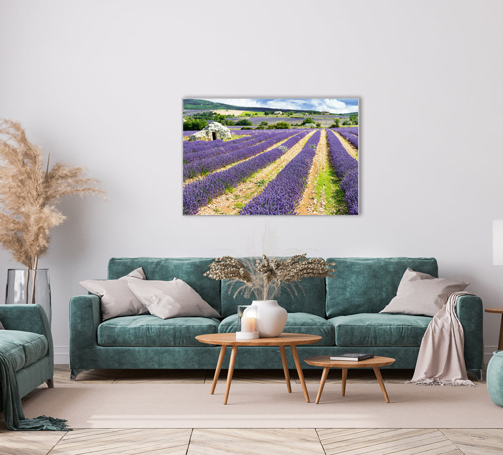 Acoustic Image Pro Lavender Field 3