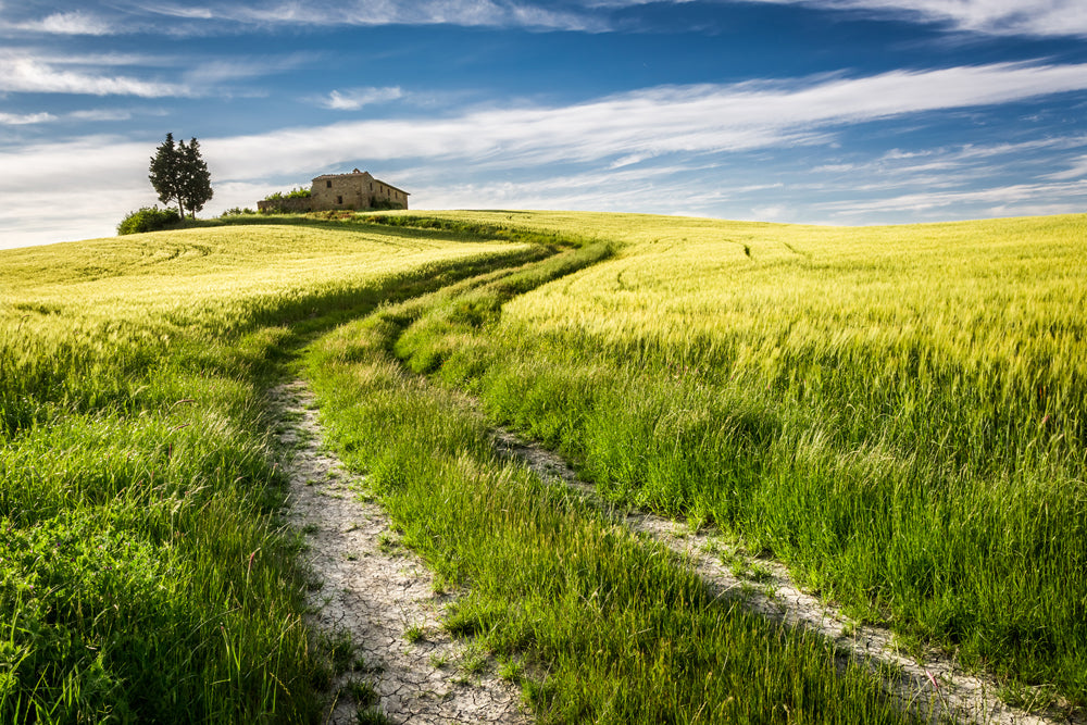 Akustikbild Pro Feldweg