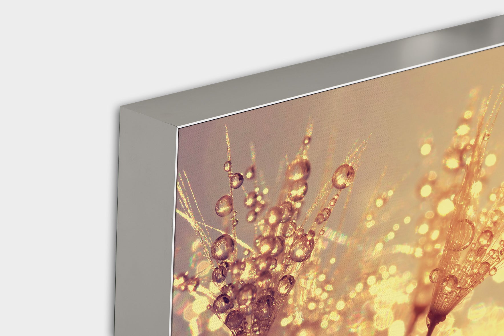 Akustikbild Pro Pusteblume mit Morgentau