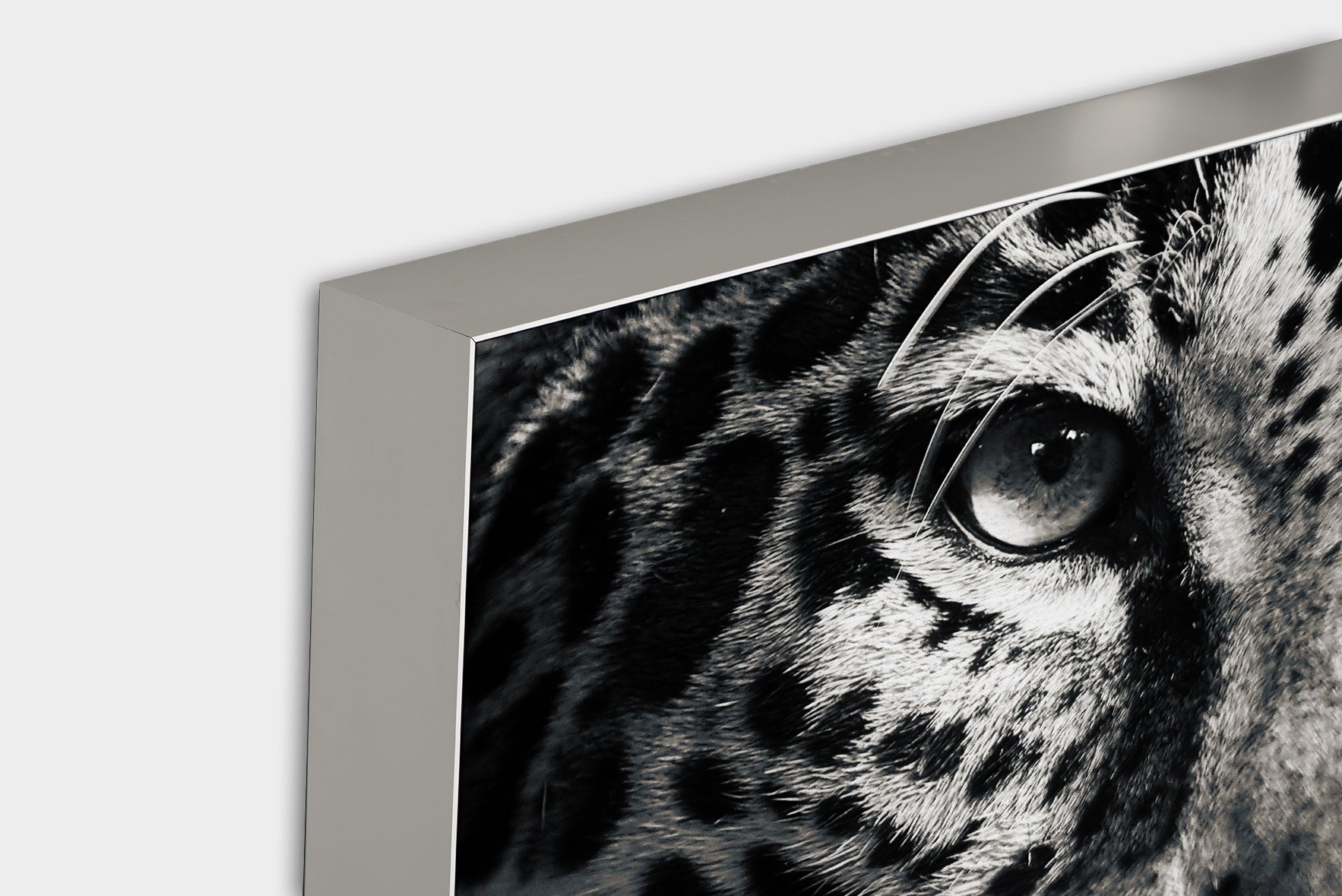 Acoustic Image Pro Leopard
