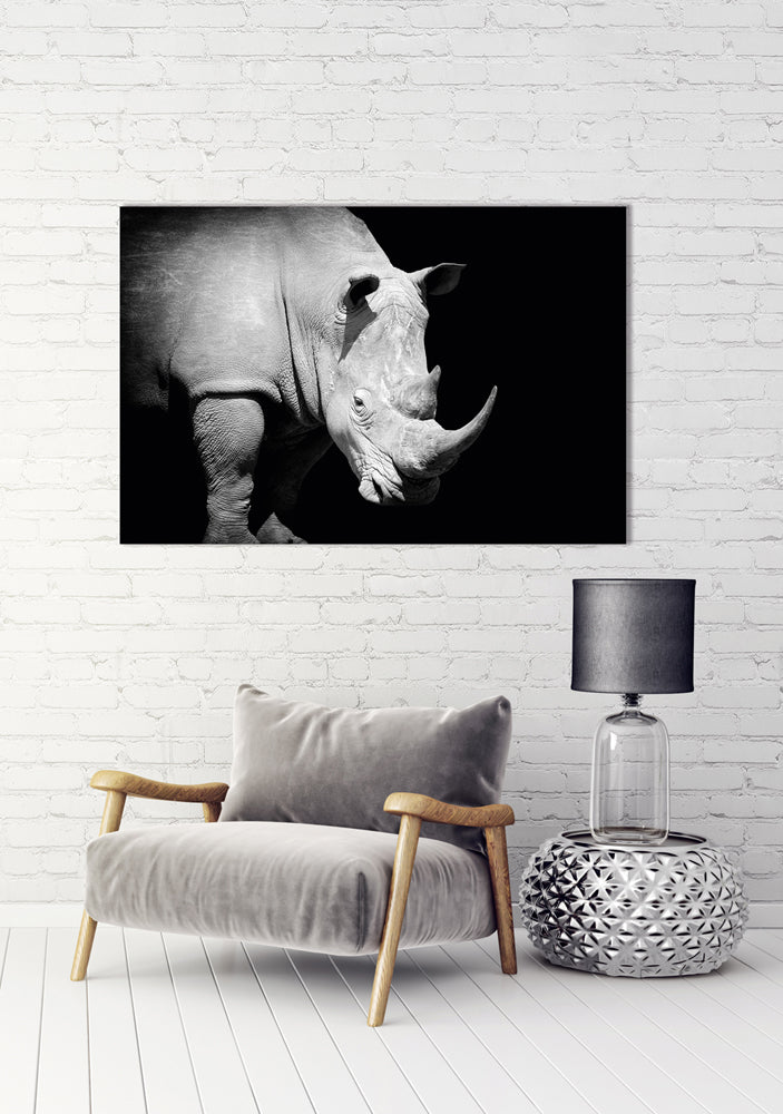 image acoustique Rhinocéros