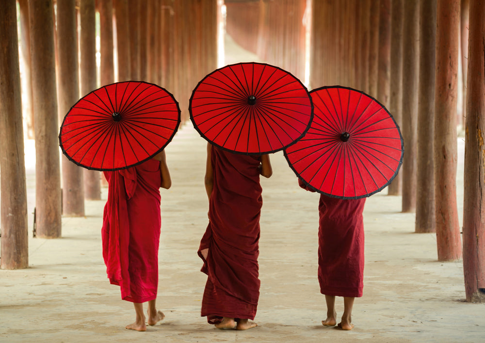 Acoustic image Pro Monks with umbrellas
