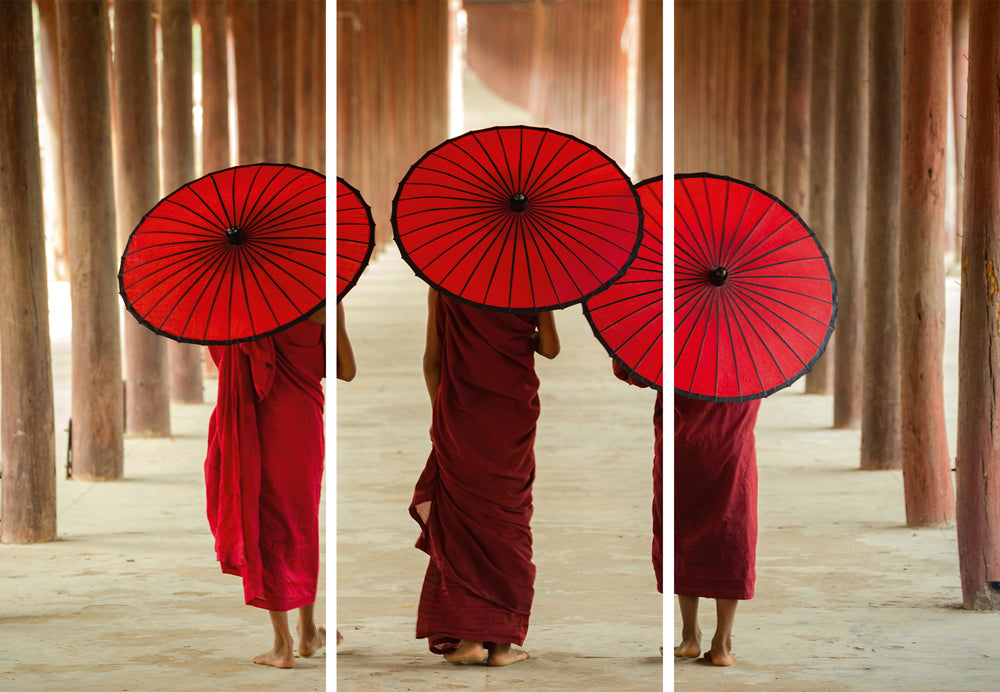 Acoustic image Pro Monks with umbrellas