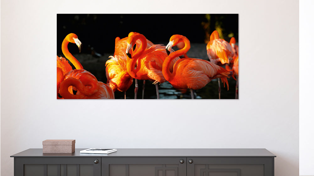 Akustikbild Pro Flamingos