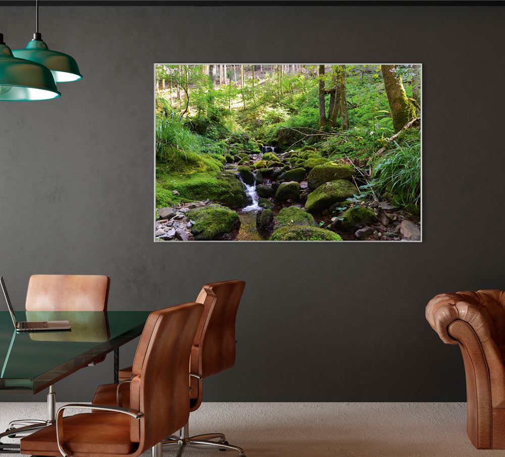 Acoustic image Pro River in the Forest 2