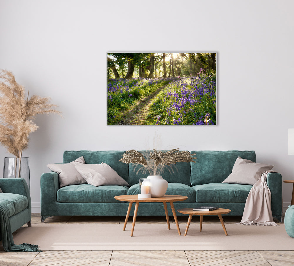 Acoustic picture Pro Forest with Lavender 2