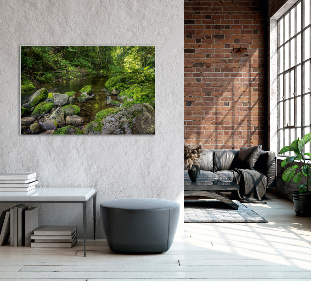 Acoustic image Pro River in the Forest 3