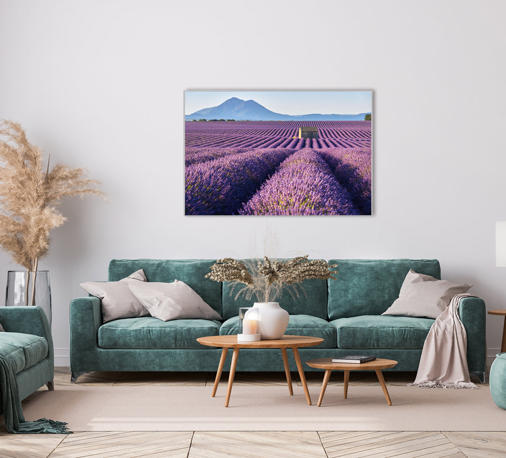 Acoustic Image Pro Lavender Field 8