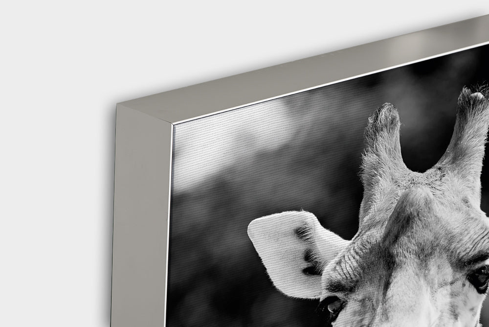 Akustikbild Pro Giraffe