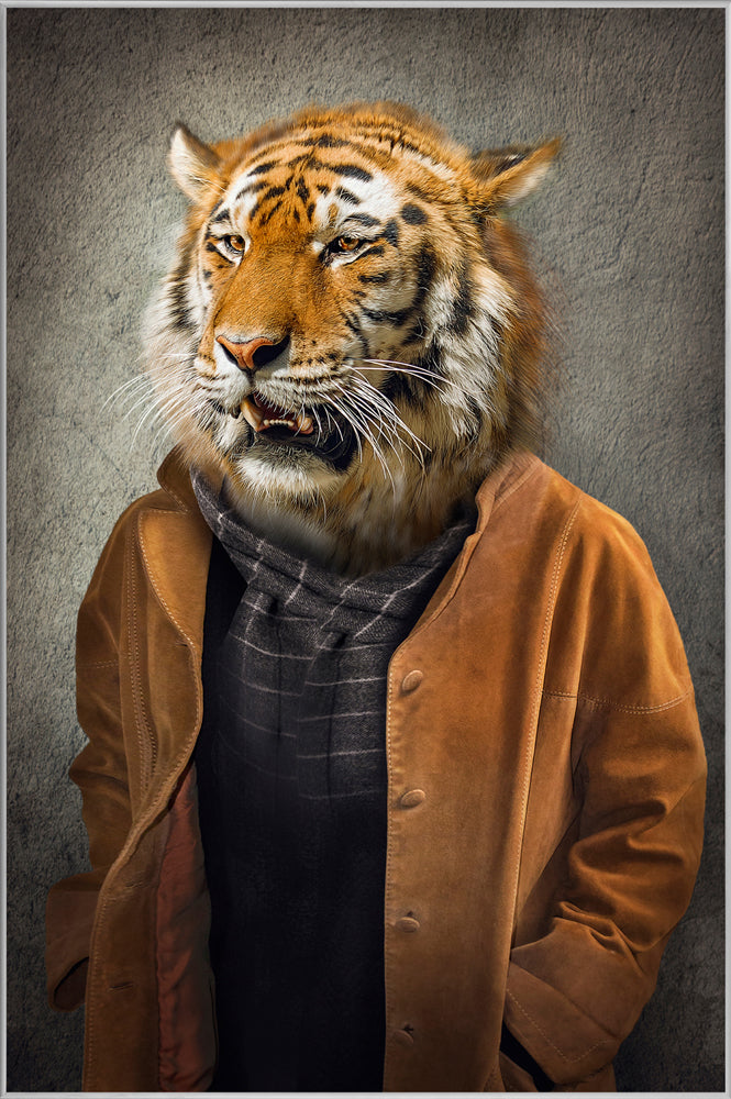 Image acoustique Tigre en manteau