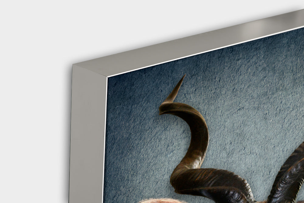 Akustikbild Pro Antilope mit Pulli