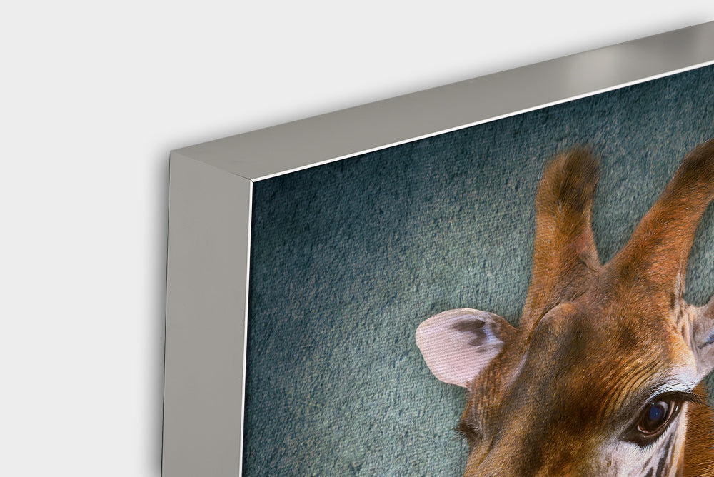 Akustikbild Pro Giraffe mit Latzhose