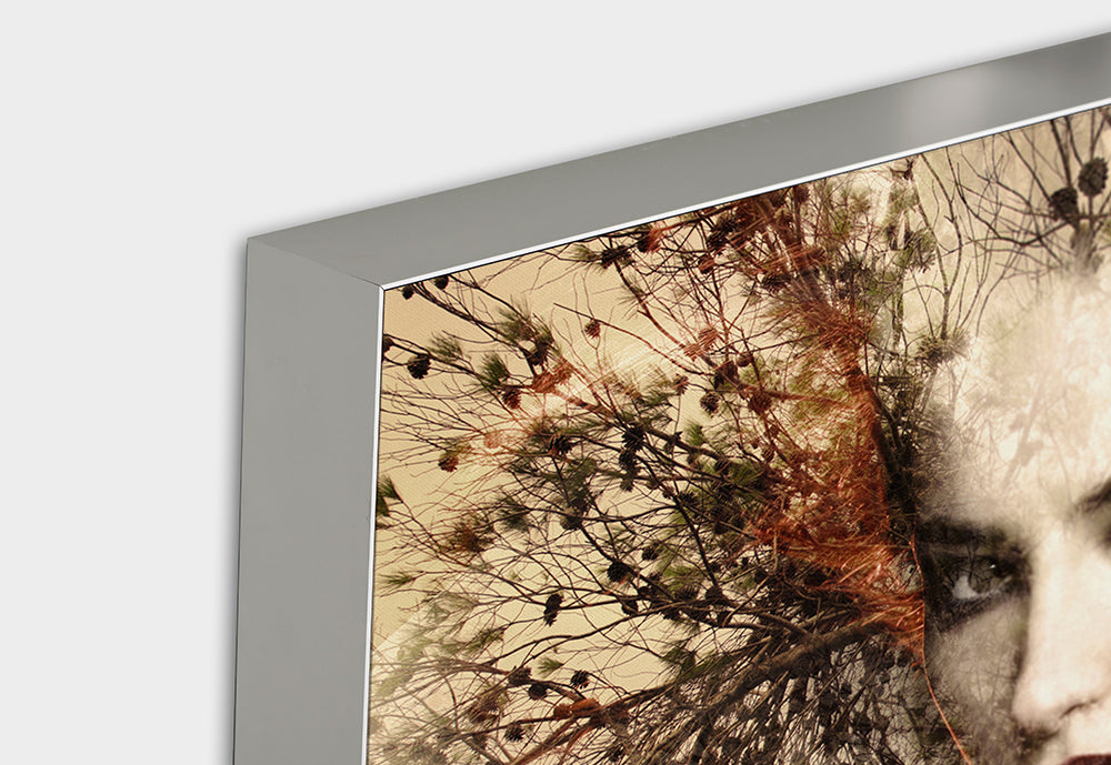 tableau acoustique arbre fée