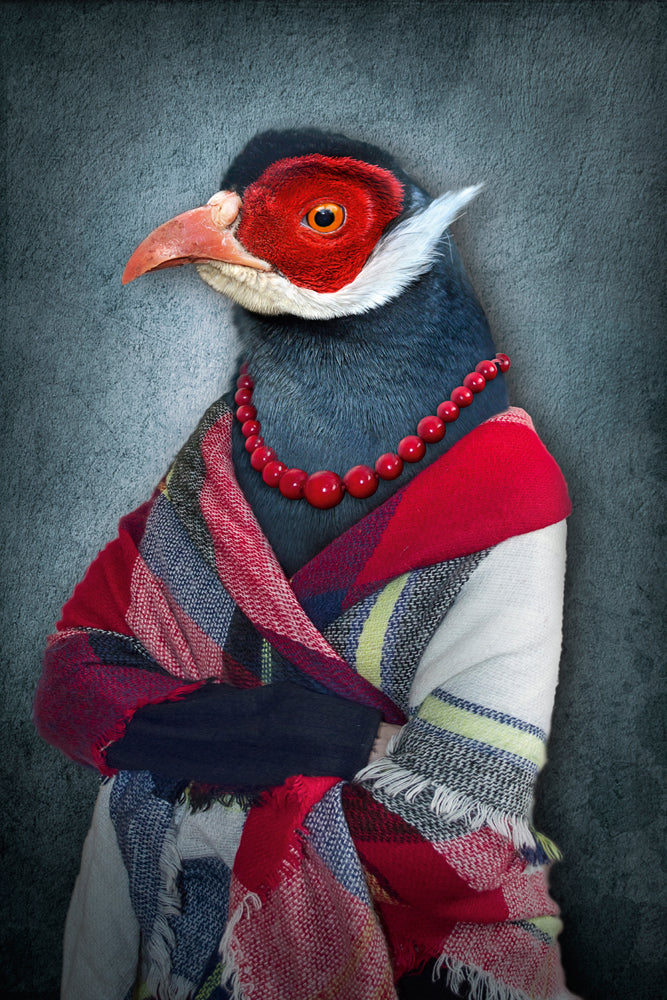 Acoustic Image Well-Dressed Pheasant