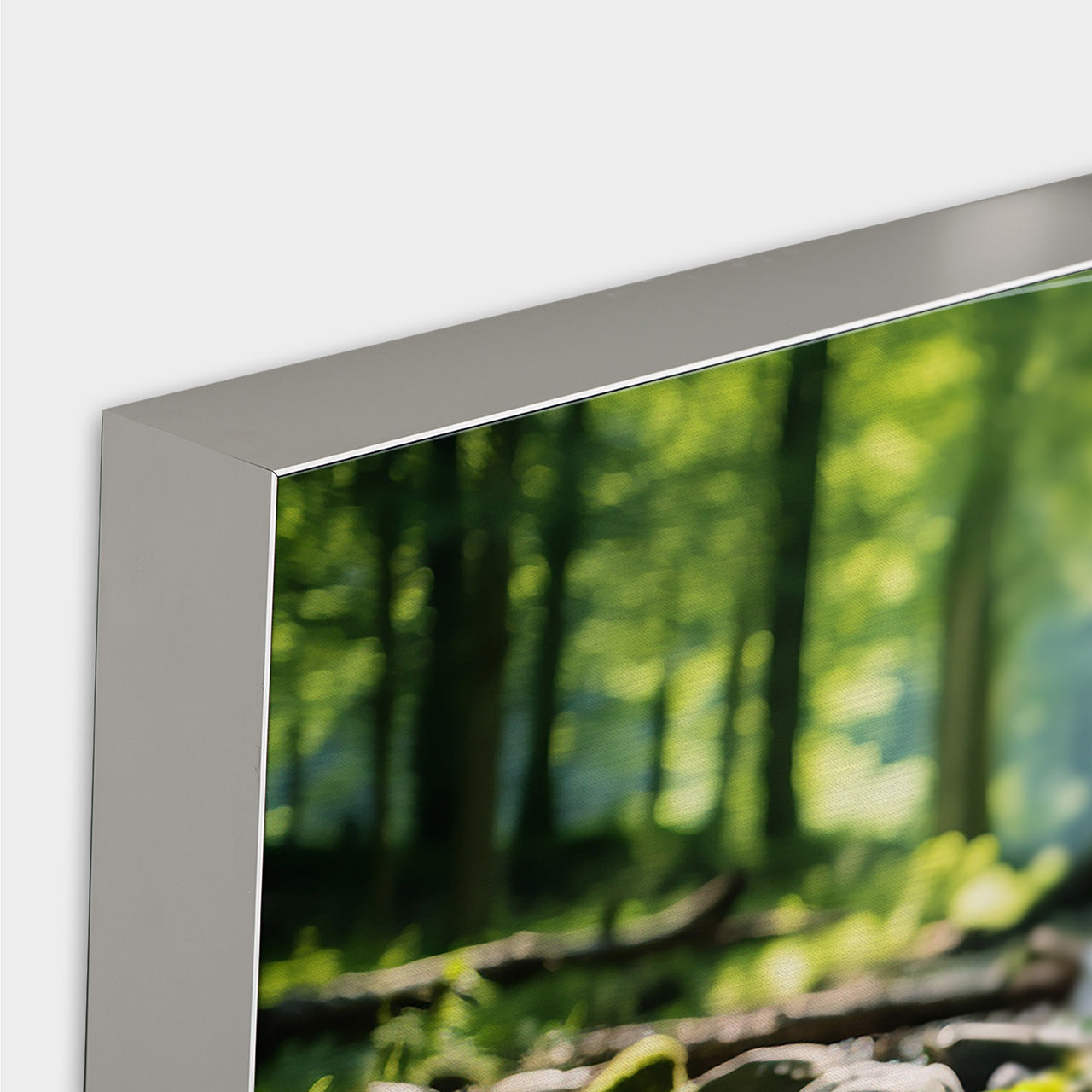 Akustikbild Pro Waldbach