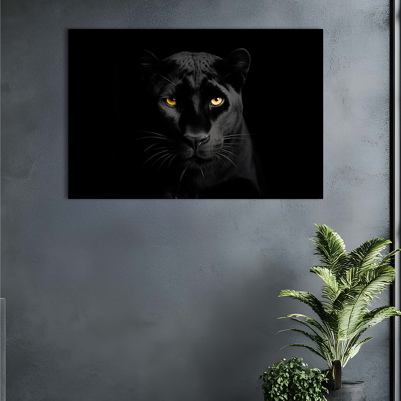 Acoustic Image Pro Black Panther