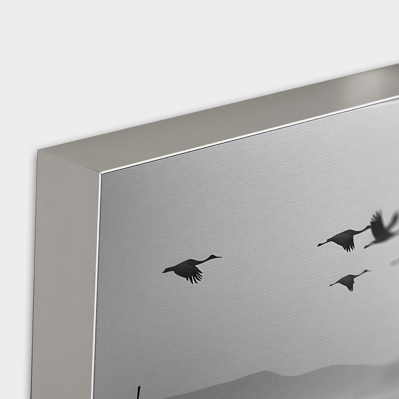 Image acoustique Pro Oies sauvages