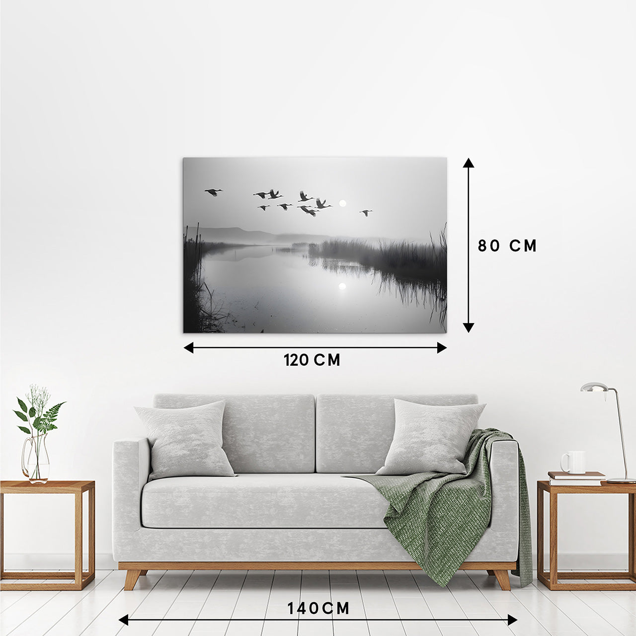 Image acoustique Pro Oies sauvages