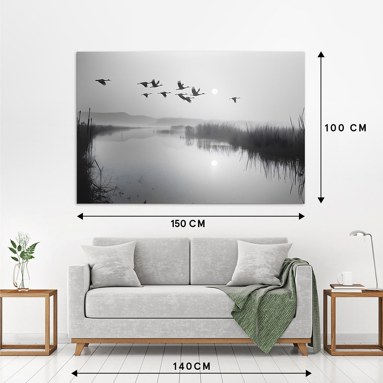 Image acoustique Pro Oies sauvages