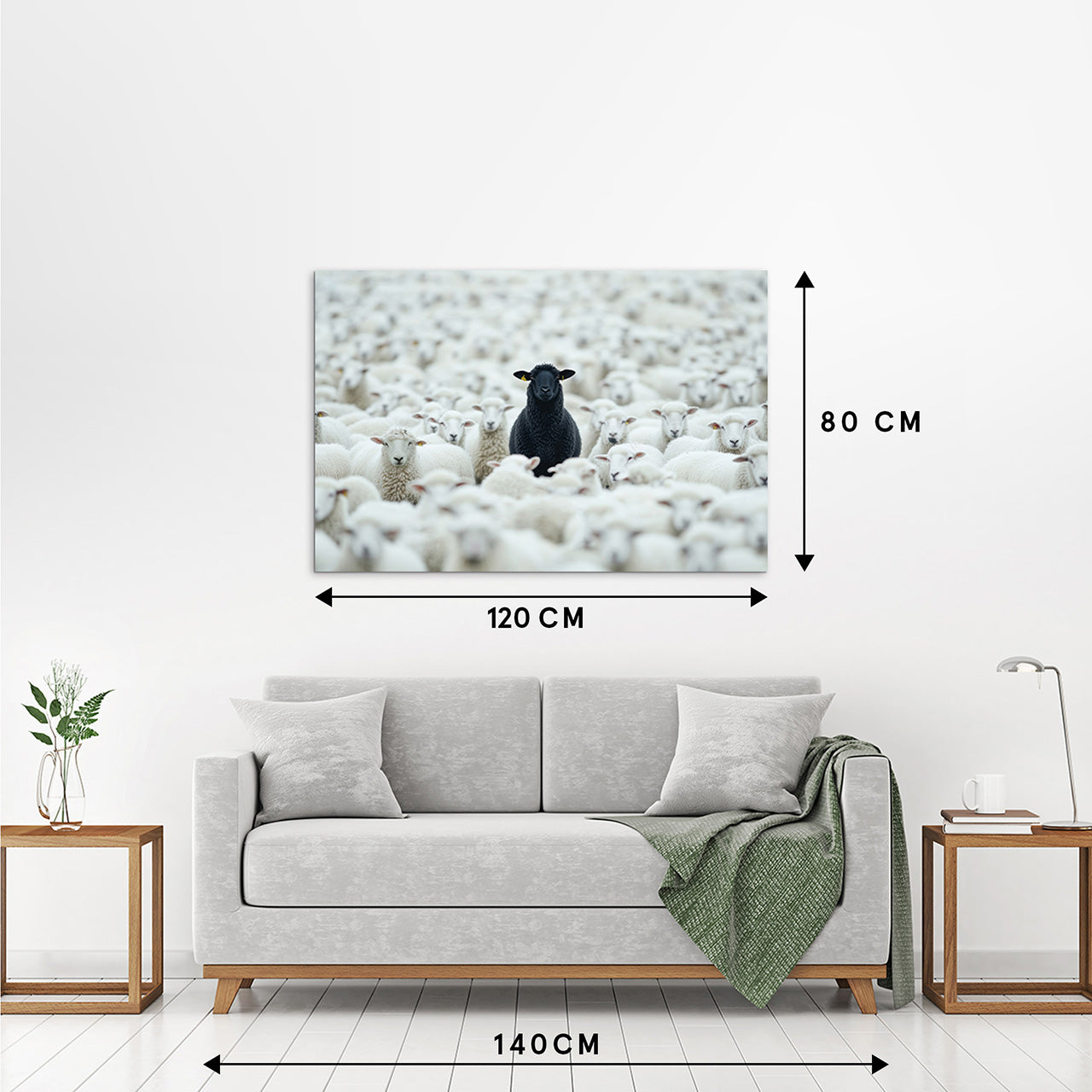 Image acoustique Pro Black Sheep