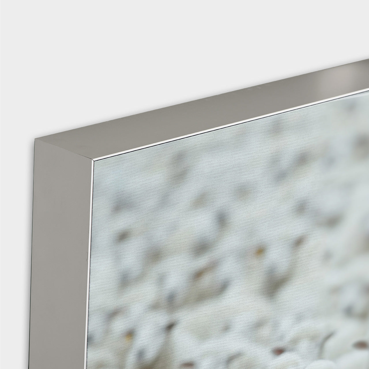 Image acoustique Pro Black Sheep