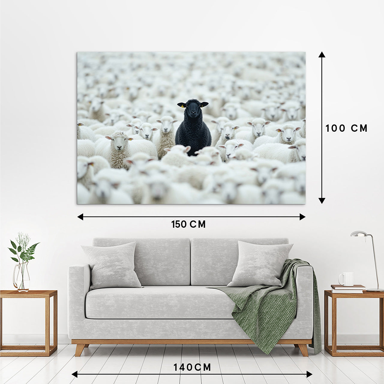 Image acoustique Pro Black Sheep