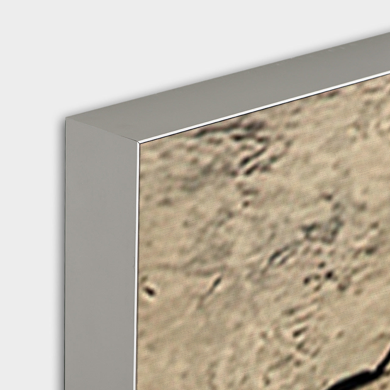 Akustikbild Pro Love Balloon