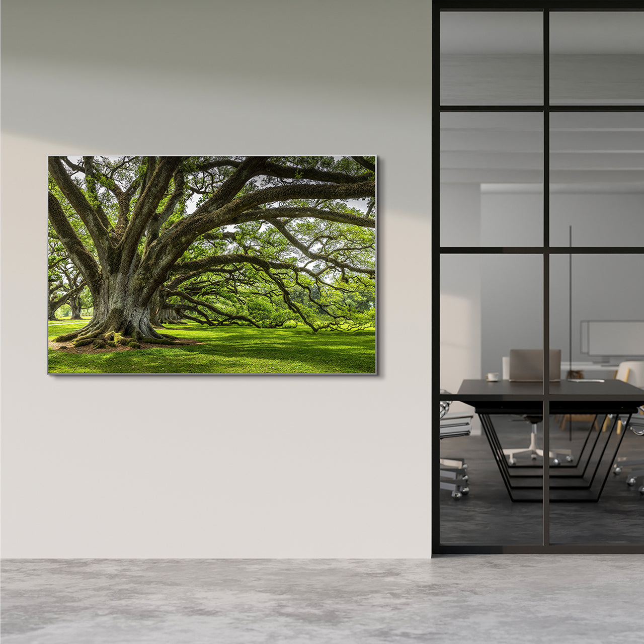 Akustikbild Pro Baum der Ewigkeit