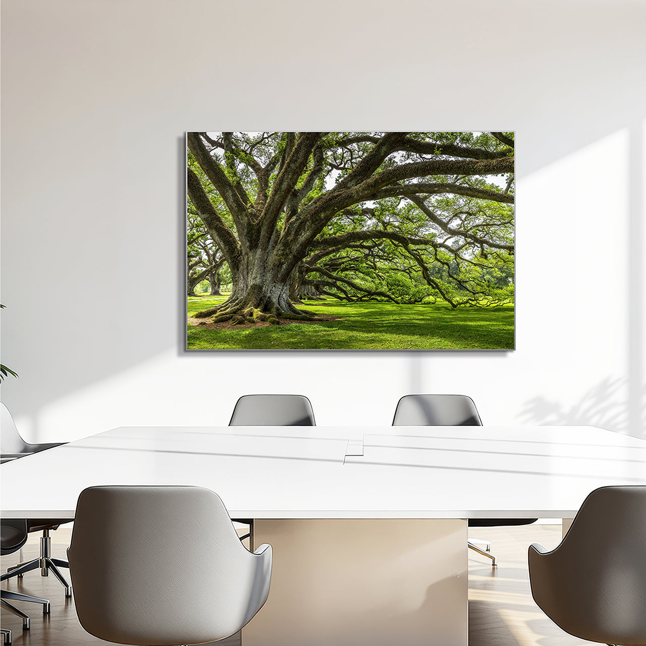 Akustikbild Pro Baum der Ewigkeit