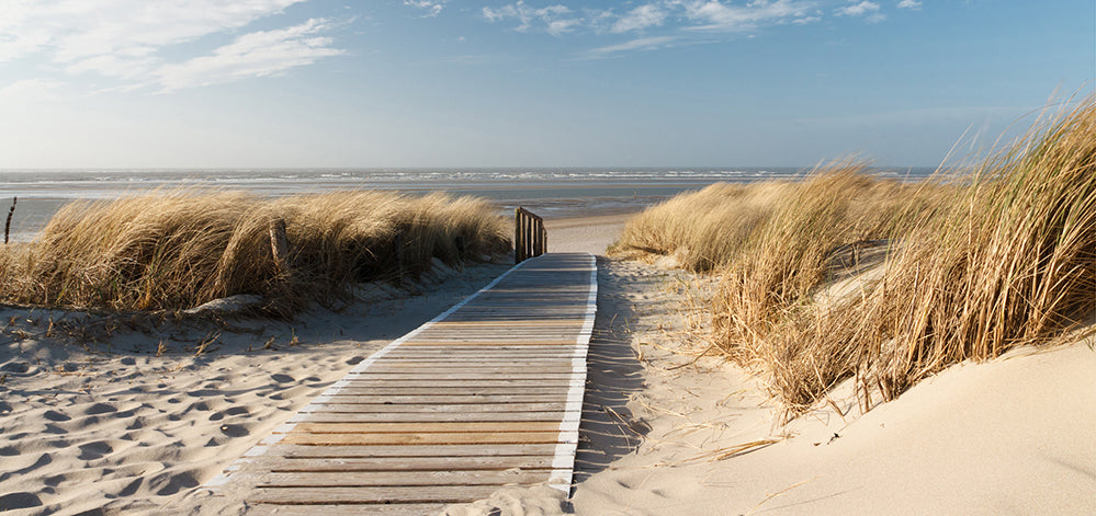 Image acoustique Slim Chemin en bois vers la mer 1