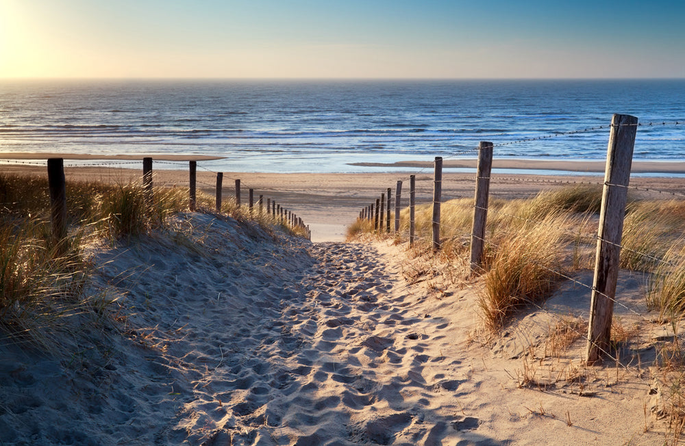Acoustic image Slim Sand path to the sea