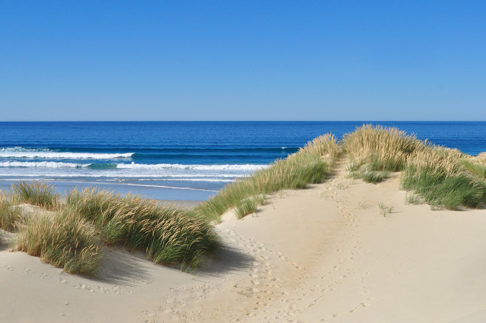 Acoustic picture Slim Dunes by the Sea 1