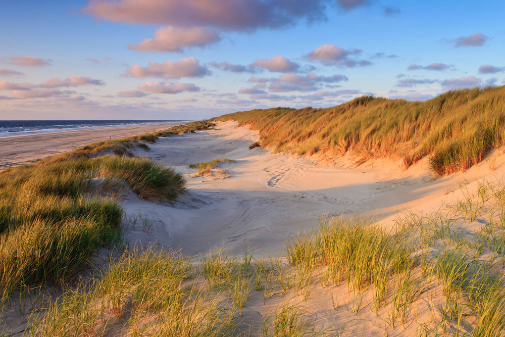 Acoustic picture Slim Dunes by the Sea 2
