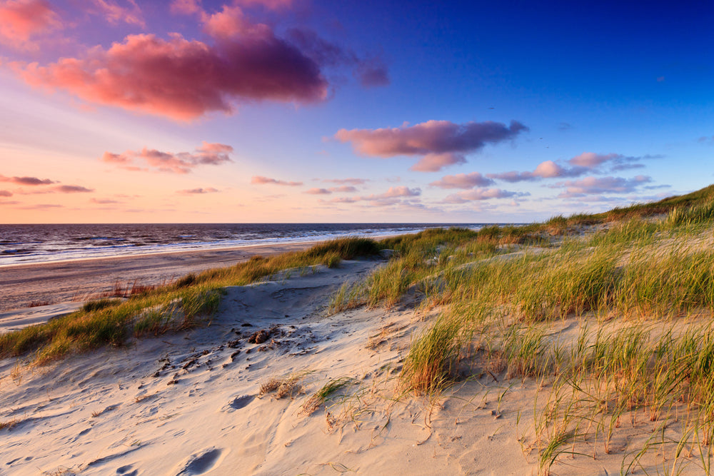 Acoustic picture Slim Dunes by the Sea 3