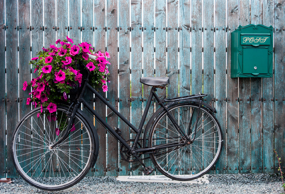 Akustikbild Slim Fahrrad mit Blumendeko