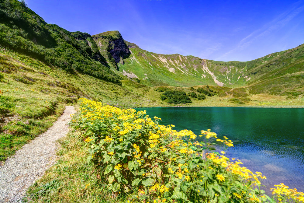 Acoustic picture Slim Bergsee
