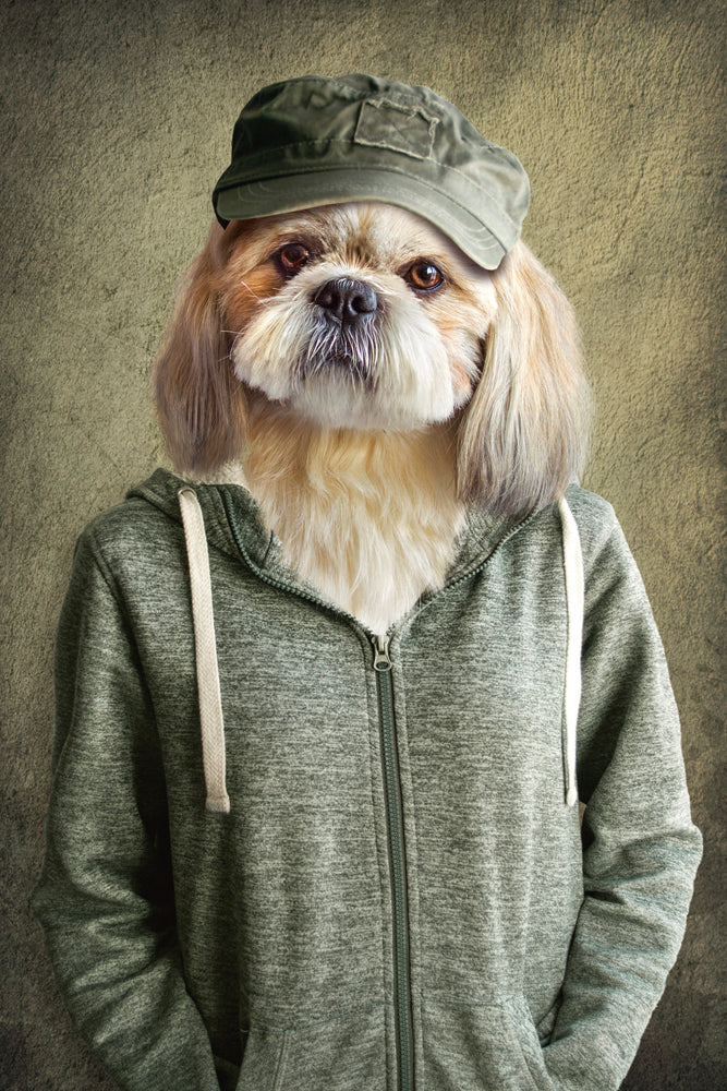 Akustikbild Slim Witziger Hund mit Jacke